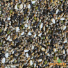 Mélange de graines à germer indigènes 1kg - Vrac Mélange de graines à germer indigènes 1kg - Vrac