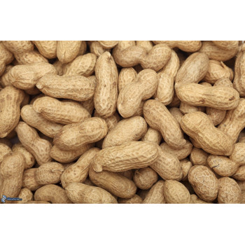 Unpeeled whole peanuts 1kg