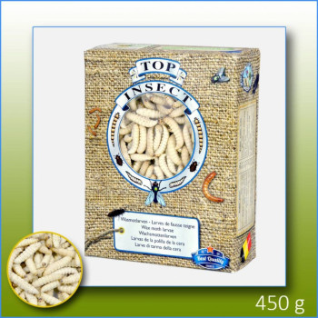 Bienenstockmotten 450g -...