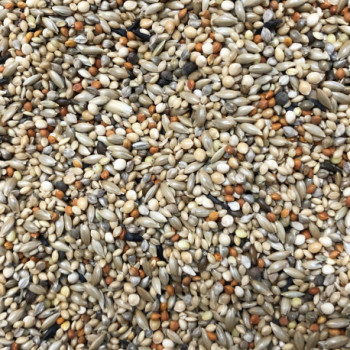 Mélange Exotiques 1kg - Vrac