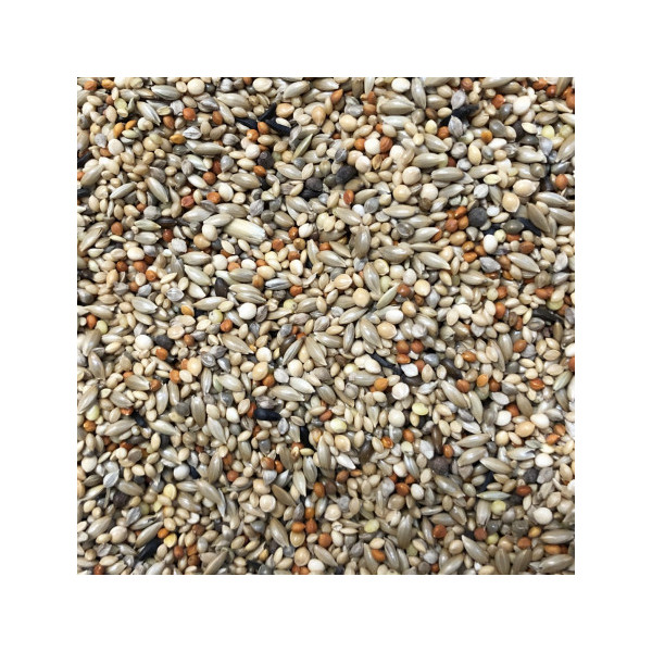 Mélange Exotiques 1kg - Vrac