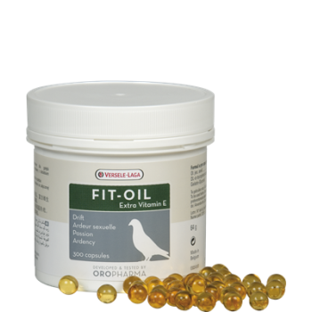 Fit Oil 300 Kapseln