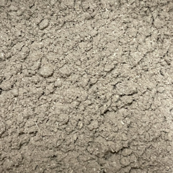 Polygonum 400g - renouée - en vrac