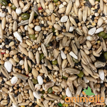 Graines À Germer Exotiques Et Perruches 1kg - Vrac