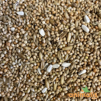 Mélange petite perruche Animalis 1kg - Vrac