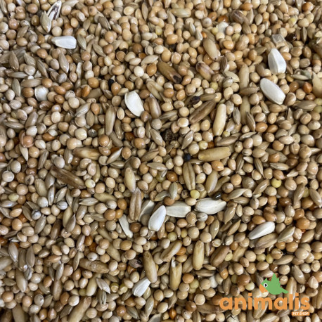 Mélange petite perruche Animalis 1kg - Vrac Mélange petite perruche Animalis 1kg - Vrac