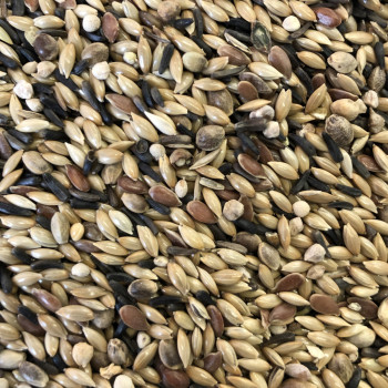 Canários Supremo Animalis sem serviço de entrega 20 kg