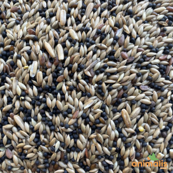 Mezcla de semillas para canarios "Super Animalis" 20kg