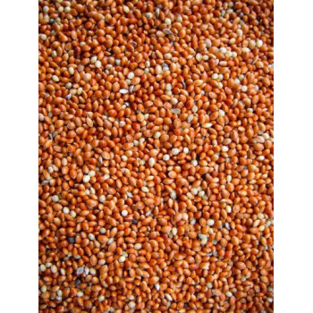 Millet Rouge 20kg