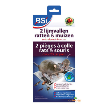 Pièges à colle souris &...