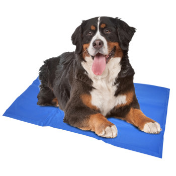 Tapis rafraîchissant XXL - 120x80cm