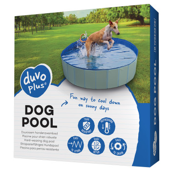 Piscine pour chien bleu...