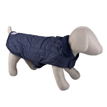 Veste pour chien classy...