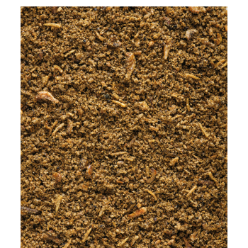 Insect Pâtée 250g - Aliment complet pour tous les oiseaux insectivores