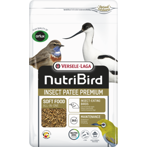 Insect Patee Premium 500g - Complete voeding voor alle insecteneters