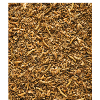 Insect Patee Premium 2kg - Complete feed for all insectivores