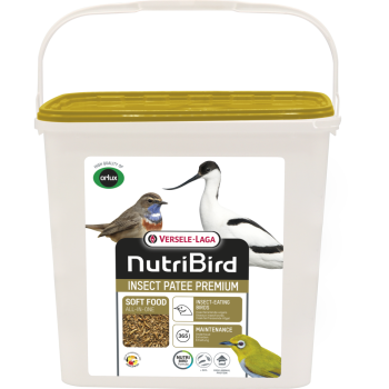 Insect Patee Premium 2kg - Complete feed for all insectivores