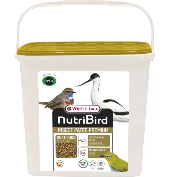 Insect Patee Premium 2kg - Complete feed for all insectivores
